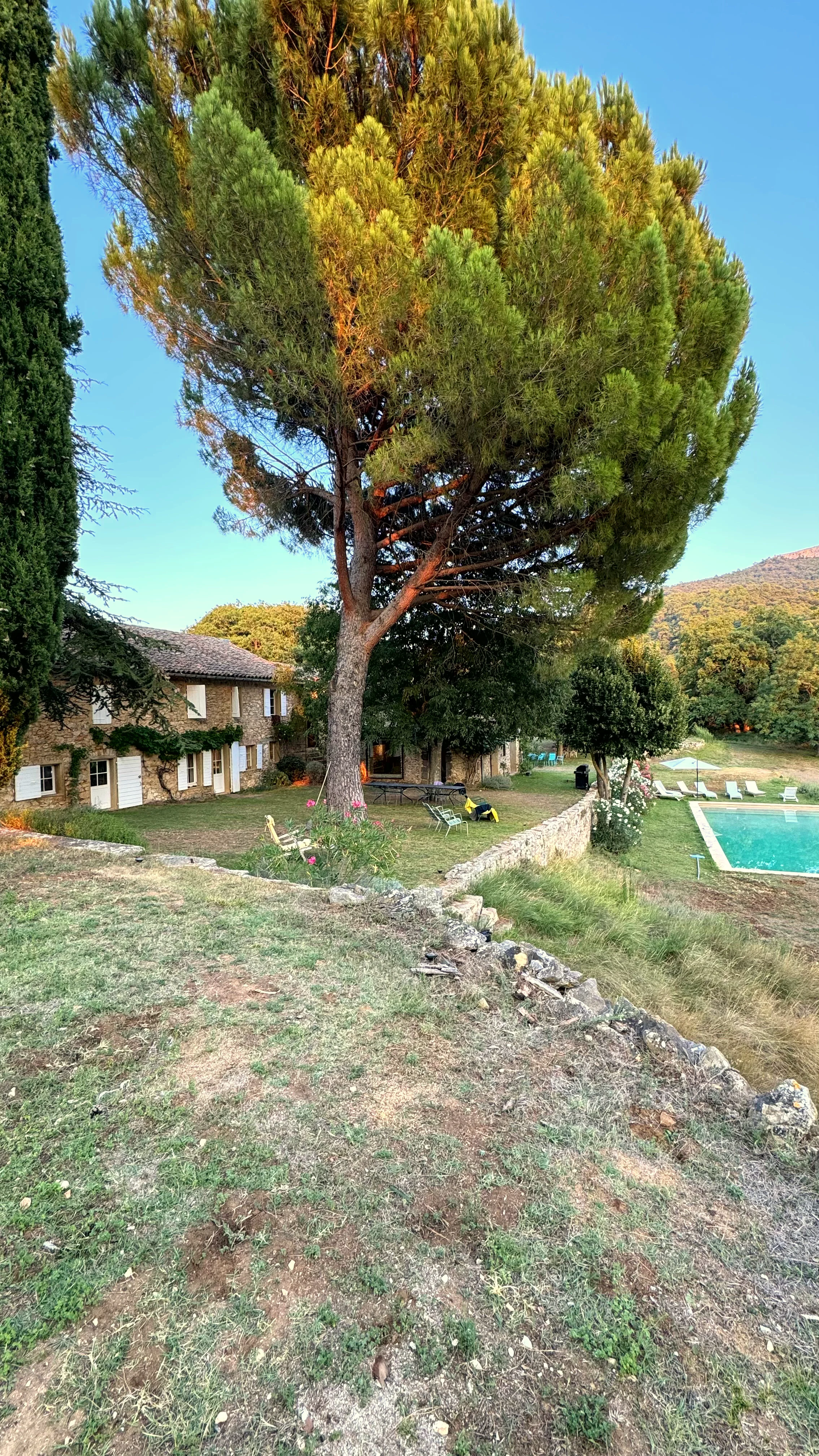 Mas provençal entouré de végétation méditerranéenne